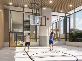 Basketball Court Basketball Court